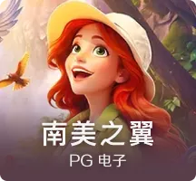 南美之翼