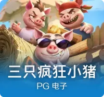 三只疯狂小猪
